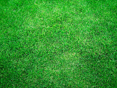 Podas Y Jardines Ariel - Opiniones y contacto