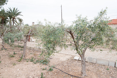 JARDINERÍA Y MANTENIMIENTO - Opiniones y contacto