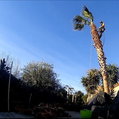 Alejandro Jardines - Opiniones