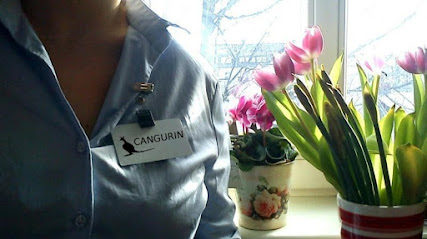 Cangurín limpiezas Zaragoza - Opiniones y contacto