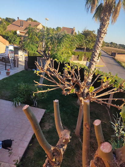 Aitana Jardines Servicios - Opiniones