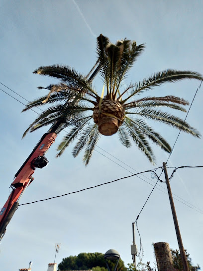Arboricultura Pere Tella - Opiniones