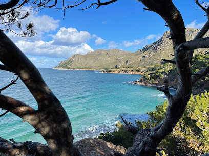 Greenstyle Mallorca S.L. - Opiniones