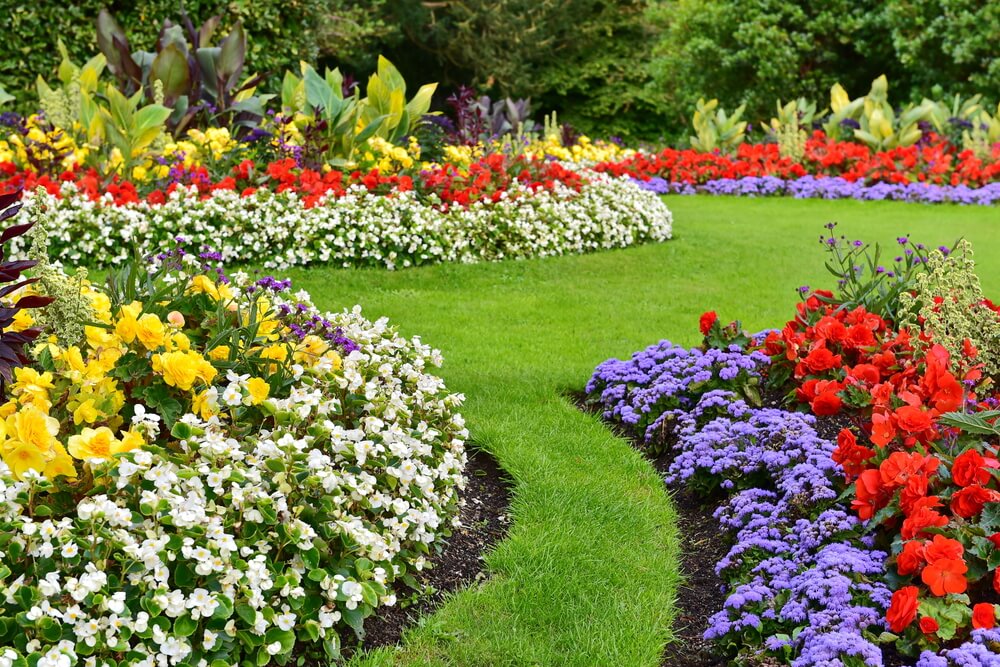 Jardinería Llevant - Opiniones