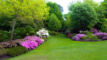 Limpiezas Lucastur - Opiniones