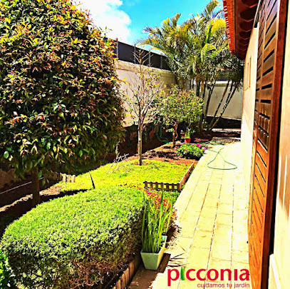 Picconia - Césped artificial Tenerife - Opiniones