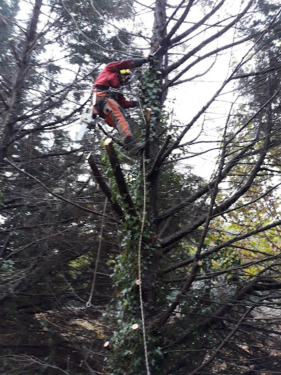 Podas y jardines Enkarterri s,l - Opiniones