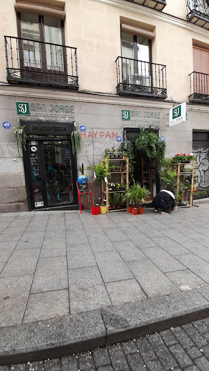 San Jorge Decoracion Verde - Opiniones