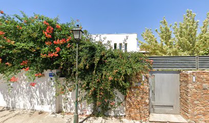 Tala y poda de árboles | LA TIERRA - Opiniones