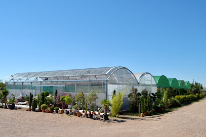 Técnica Verde Zamora - Opiniones