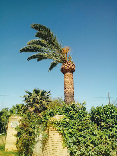 Jardineria San Pedro - Opiniones