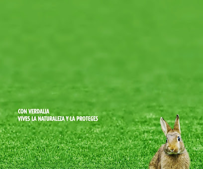 Césped Artificial Sevilla Verdalia - Opiniones