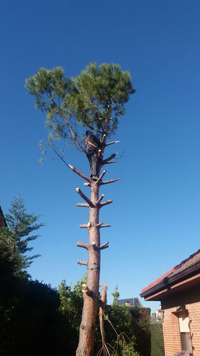 Full Garden - Empresa de jardinería y Diseño de jardines en Madrid - Opiniones