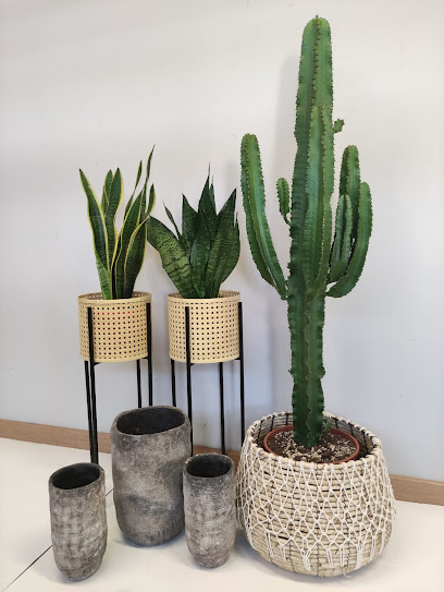 Javier Pastor Viveros y Jardinería, SL. - Opiniones