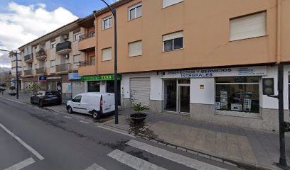 Proyectos y Servicios Integrales del Sur S.L