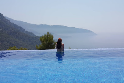 Piscinas & Decoraciones Pool House Sl