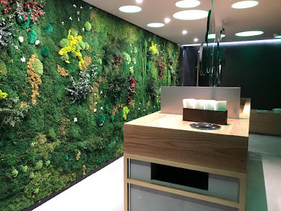 Alijardin - Paisajismo - Jardines Verticales - Biofilia - Opiniones