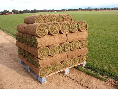 AGROCESPED. Césped natural en Tepes. - Opiniones