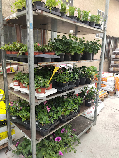 El Jardín De Juan Xxiii Ourense - Opiniones