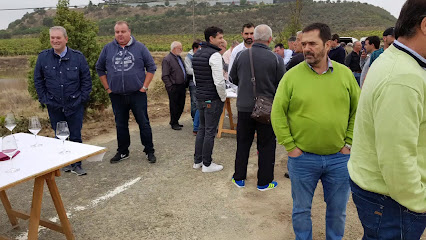 Iratze Lorazaintza Sl - Opiniones