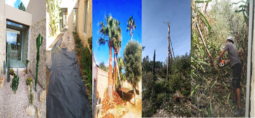 MARTIN Servicios Jardineria - Opiniones