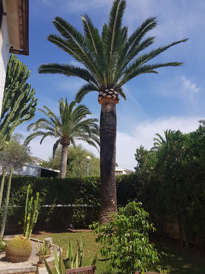 Jardineria Edwin Garden - Opiniones