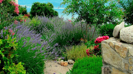 PODES I JARDINS | Podas , Tala de arboles , Jardinería , Paisajismo y más. - Opiniones