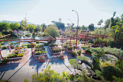 Sa Jardinería - Mallorca Garden Center - Opiniones Sa Jardinería - Mallorca Garden Center - Opiniones