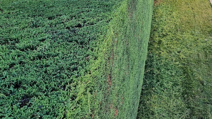 Trabajos de Jardinería Rubén Villar Garcia - Opiniones