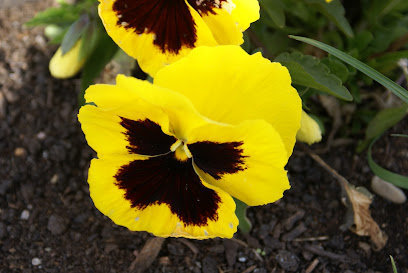 Mejores empresas de mantenimiento de piscinas en Santo Domingo de la Calzada