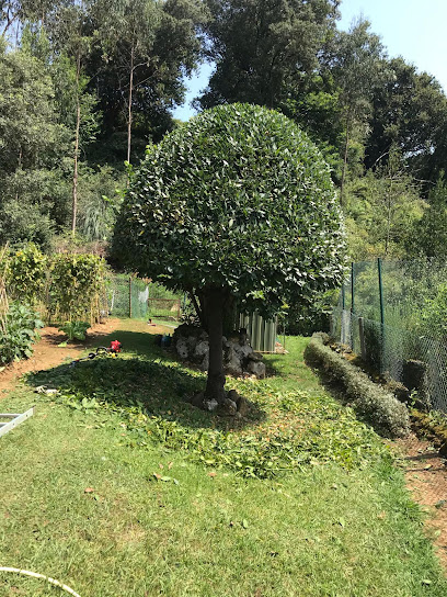 Mejores jardineros en Boo de Piélagos