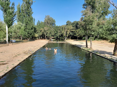 Mejores empresas de mantenimiento de piscinas en La Codosera