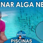 ¿Cómo limpiar una piscina con algas negras?