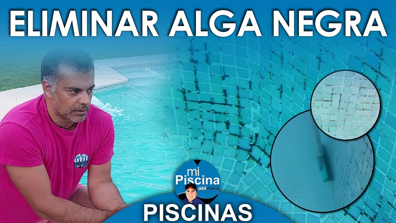 ¿Cómo limpiar una piscina con algas negras?