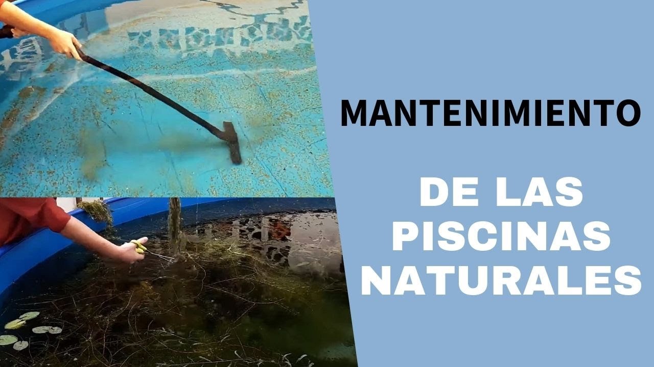 Mantenimiento de piscinas ecológicas